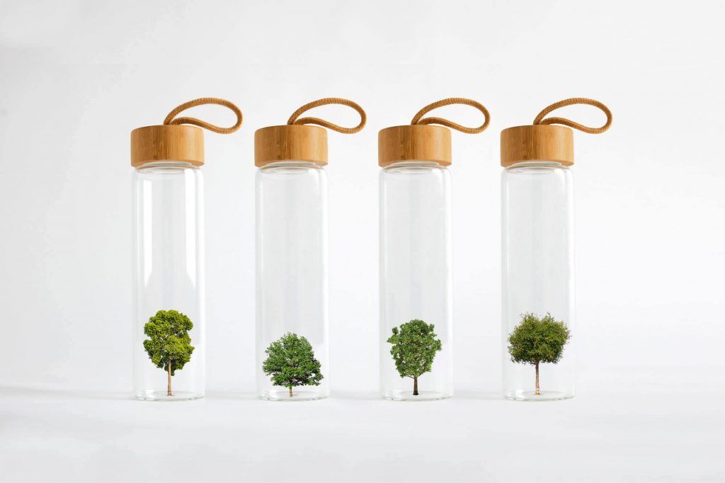 Four Agua bottles containing trees